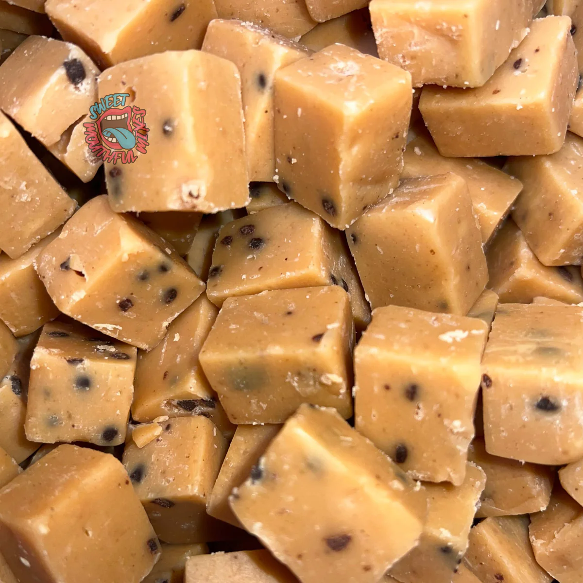 Just Rum Raisin Fudge