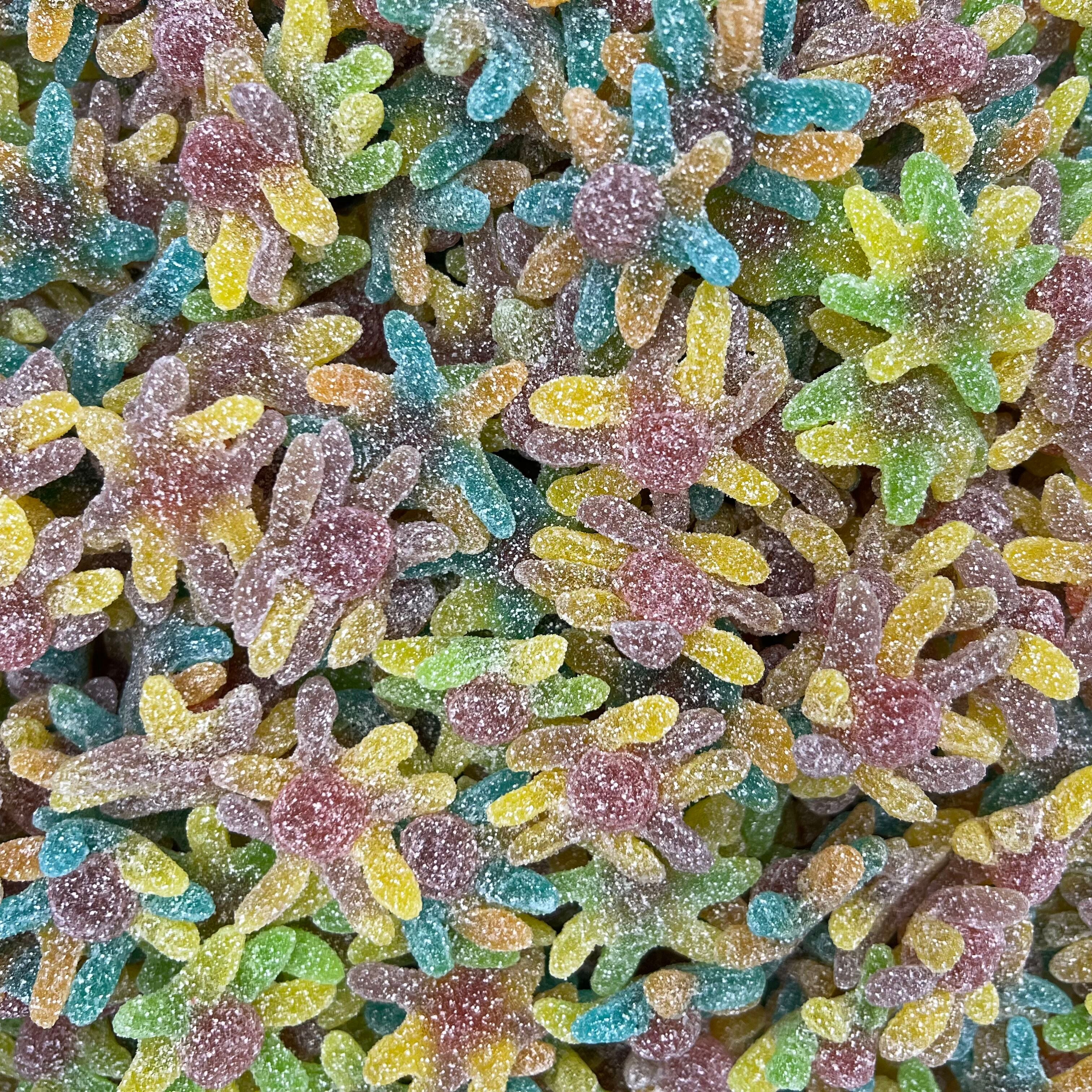 Sour Octopus
